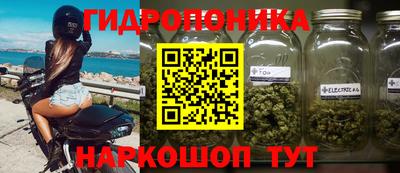 ГАЛЛЮЦИНОГЕННЫЕ ГРИБЫ Заводоуковск