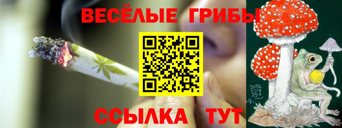 Галлюциногенные грибы ЛСД  купить   Лосино-Петровский  Вход с VPN 